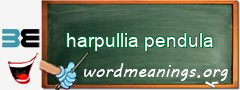 WordMeaning blackboard for harpullia pendula